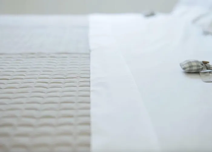 Affittacamere Palace בית הארחה